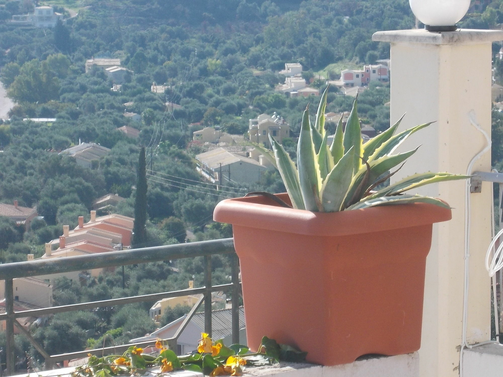 Sarakinos Apartments Barbati Exterior photo